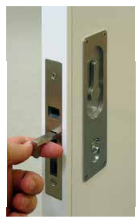 Cavity Slider For Doors Cavilock CL100 Short Louise Latch/Blank Reversible Furniture Edge Pull -Polished Brass & Satin Chrome