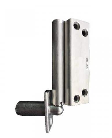 Lohala Centor E2 Wall Pivot Set - Stainless Steel ,Stainless Steel Polished & PVD Brass