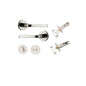 Iver Annecy Door Lever Rose Round Concealed Fix Pair, Passage Kit, Privacy Kit , Entrance Kit with High Security Lock -Polished Nickel