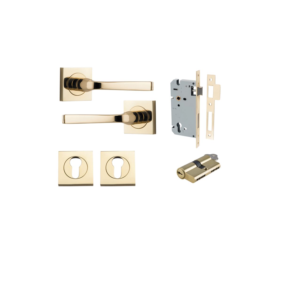 Iver Annecy Door Lever Rose Square Concealed Fix Pair, Passage Kit, Privacy Kit , Entrance Kit with High Security Lock -Polished Brass