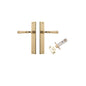 Iver Verona Door Lever Rectangular Latch Pair, Passage Kit, Privacy Kit , Entrance Kit with High Security Lock - Polished Brass