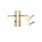 Iver Verona Door Lever Rectangular Latch Pair, Passage Kit, Privacy Kit , Entrance Kit with High Security Lock - Polished Brass