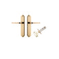 Iver Annecy Door Lever Shouldered Latch Pair, Passage Kit, Privacy Kit , Entrance Kit with High Security Lock - Polished Brass