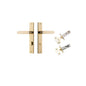 Iver Bronte Door Lever Rectangular Latch Pair, Passage Kit, Privacy Kit , Entrance Kit with High Security Lock - Polished Brass