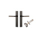 Iver Annecy Door Lever Rectangular Latch Pair, Passage Kit, Privacy Kit , Entrance Kit with High Security Lock -Signature Brass