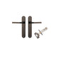 Iver Annecy Door Lever Oval Latch Pair, Passage Kit, Privacy Kit , Entrance Kit with High Security Lock - Signature Brass