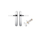 Iver Annecy Door Lever Oval Latch Pair, Passage Kit, Privacy Kit , Entrance Kit with High Security Lock - Polished Chrome