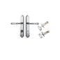 Iver Verona Door Lever Shouldered Latch Pair, Passage Kit, Privacy Kit , Entrance Kit with High Security Lock -Brushed Chrome