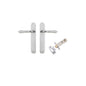 Iver Sarlat  Door Lever Oval Latch Pair, Passage Kit, Privacy Kit , Entrance Kit with High Security Lock - Brushed Chrome