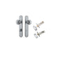 Iver Guildford Door Knob Oval Latch Pair, Passage Kit, Privacy Kit , Entrance Kit with High Security Lock -Brushed Chrome