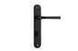 Iver Annecy Door Lever Oval Latch Pair, Passage Kit, Privacy Kit , Entrance Kit with High Security Lock - Matt Black