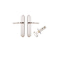 Iver Sarlat  Door Lever Oval Latch Pair, Passage Kit, Privacy Kit , Entrance Kit with High Security Lock - Polished Nickel