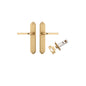 Iver Annecy Door Lever Shouldered Latch Pair, Passage Kit, Privacy Kit , Entrance Kit with High Security Lock -Brushed Brass