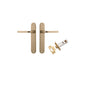 Iver Annecy Door Lever Oval Latch Pair, Passage Kit, Privacy Kit , Entrance Kit with High Security Lock - Brushed Brass