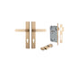 Iver Bronte Door Lever Rectangular Latch Pair, Passage Kit, Privacy Kit , Entrance Kit with High Security Lock - Brushed Brass