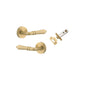 Iver Sarlat  Door Lever Rose Round Concealed Fix Pair, Passage Kit, Privacy Kit , Entrance Kit with High Security Lock - Brushed Gold PVD