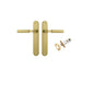 Iver Berlin Door Lever Oval Latch Pair, Passage Kit, Privacy Kit , Entrance Kit with High Security Lock - Brushed Gold PVD