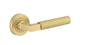 Iver Berlin Door Lever Rose Round Concealed Fix Pair, Passage Kit, Privacy Kit , Entrance Kit with High Security Lock - Brushed Gold PVD