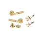 Iver Berlin Door Lever Rose Round Concealed Fix Pair, Passage Kit, Privacy Kit , Entrance Kit with High Security Lock - Brushed Gold PVD