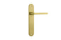 Iver Baltimore Door Knob Oval Latch Pair, Passage Kit, Privacy Kit , Entrance Kit with High Security Lock - Brushed Gold PVD