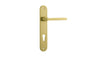 Iver Baltimore Door Knob Oval Latch Pair, Passage Kit, Privacy Kit , Entrance Kit with High Security Lock - Brushed Gold PVD