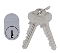 Carbine Australia Component for Flip Bolt - Oval Cylinder - C4 6 Pin - With R cam  Finish Satin chrome