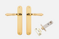 Iver Sarlat Door Lever 10224 Oval Backplate Polished Brass - Passage ,Privacy & Entrance