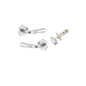 Iver Sarlat  Door Lever Rose Round Concealed Fix Pair, Passage Kit, Privacy Kit , Entrance Kit with High Security Lock - Brushed Chrome