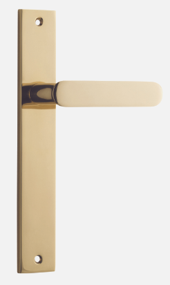 Iver Bronte Door Lever 10248 Oval Backplate Polished Brass - Passage ,Privacy & Entrance