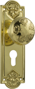 Door Knob Nouveau Euro Pair Polished Brass H188xW58xP60mm