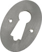 Escutcheon Pressed Satin Chrome H44xW30mm