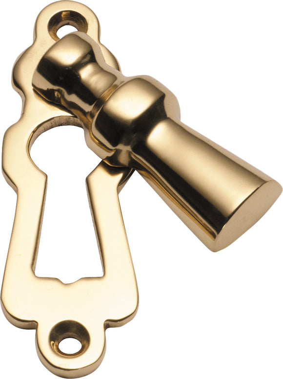 Escutcheon Covered Polished Brass H60xW20mm