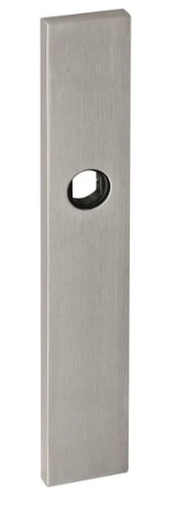 JNF Blind Plate With Spring  230mm x 40mm Finish Stainless Steel