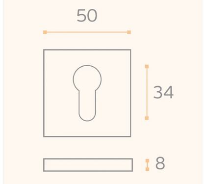 JNF IN.04.29Q.Y08N European Cylinder Key Hole ( 50mm x 50mm ) Finish : Stainless Steel
